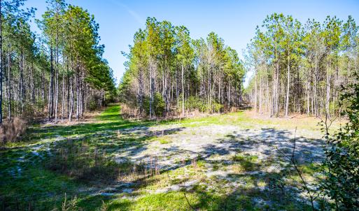 Photo #27 of SOLD property in 2729 McNeill Hobbs Rd, Bunnlevel, NC 64.6 acres