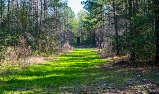Photo #30 of SOLD property in 2729 McNeill Hobbs Rd, Bunnlevel, NC 64.6 acres