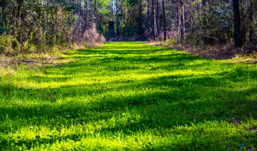 Photo #31 of SOLD property in 2729 McNeill Hobbs Rd, Bunnlevel, NC 64.6 acres