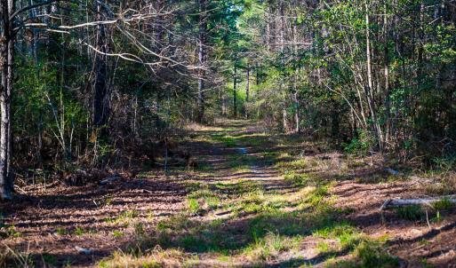 Photo #33 of SOLD property in 2729 McNeill Hobbs Rd, Bunnlevel, NC 64.6 acres