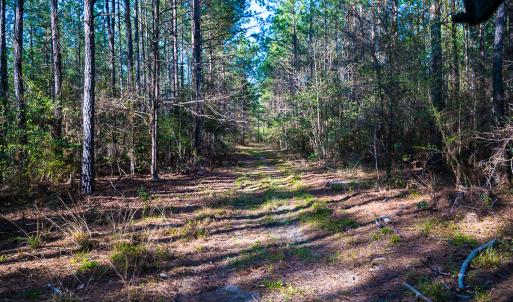 Photo #34 of SOLD property in 2729 McNeill Hobbs Rd, Bunnlevel, NC 64.6 acres