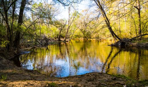 Photo #35 of SOLD property in 2729 McNeill Hobbs Rd, Bunnlevel, NC 64.6 acres