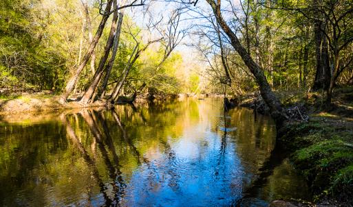 Photo #36 of SOLD property in 2729 McNeill Hobbs Rd, Bunnlevel, NC 64.6 acres