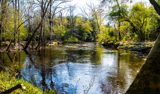 Photo #37 of SOLD property in 2729 McNeill Hobbs Rd, Bunnlevel, NC 64.6 acres