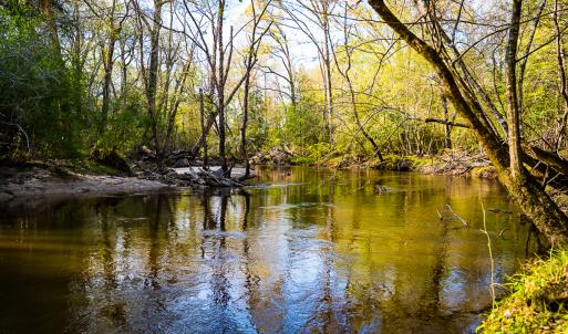 Photo #38 of SOLD property in 2729 McNeill Hobbs Rd, Bunnlevel, NC 64.6 acres