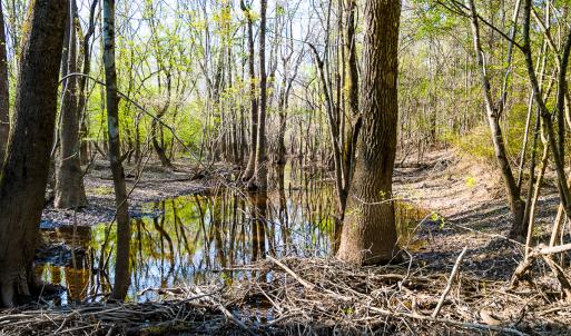 Photo #41 of SOLD property in 2729 McNeill Hobbs Rd, Bunnlevel, NC 64.6 acres
