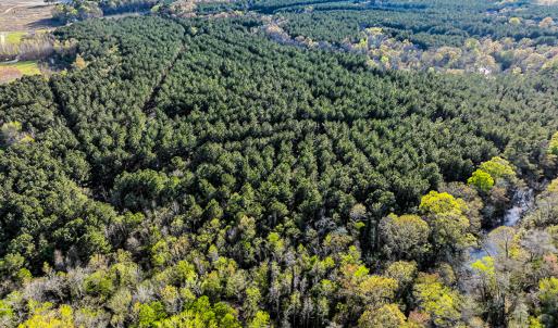 Photo #43 of SOLD property in 2729 McNeill Hobbs Rd, Bunnlevel, NC 64.6 acres