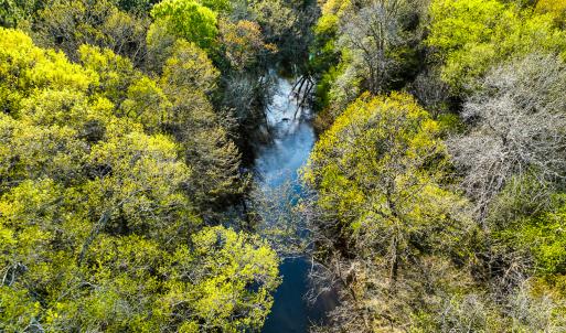 Photo #44 of SOLD property in 2729 McNeill Hobbs Rd, Bunnlevel, NC 64.6 acres