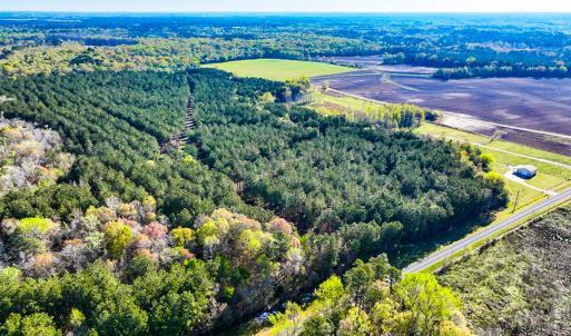 Photo #48 of SOLD property in 2729 McNeill Hobbs Rd, Bunnlevel, NC 64.6 acres