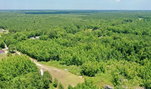 Photo #12 of SOLD property in 2910 Hills Neck Road, Emul, NC 1.9 acres