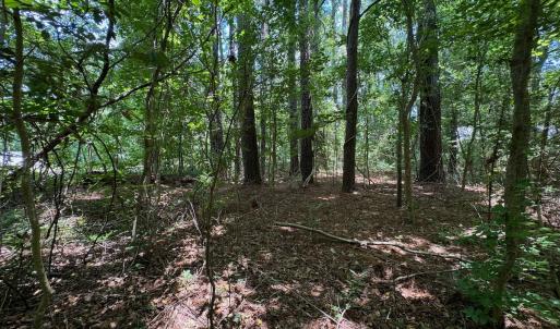Photo #13 of SOLD property in 2910 Hills Neck Road, Emul, NC 1.9 acres