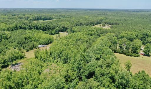 Photo #16 of SOLD property in 2910 Hills Neck Road, Emul, NC 1.9 acres