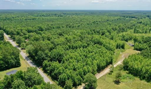 Photo #6 of SOLD property in 2910 Hills Neck Road, Emul, NC 1.9 acres