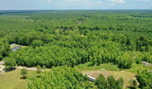 Photo #10 of SOLD property in 2910 Hills Neck Road, Emul, NC 1.9 acres