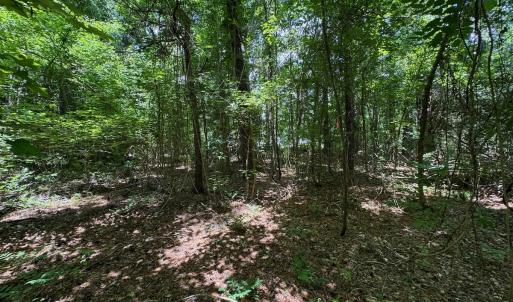 Photo #23 of SOLD property in 2910 Hills Neck Road, Emul, NC 1.9 acres