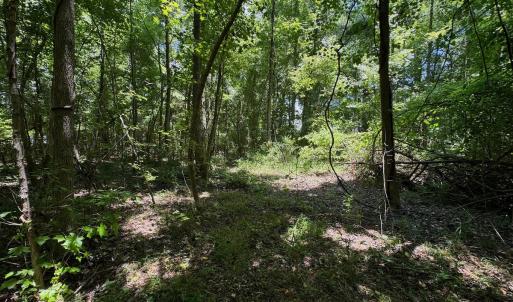 Photo #29 of SOLD property in 2910 Hills Neck Road, Emul, NC 1.9 acres