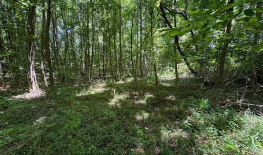 Photo #31 of SOLD property in 2910 Hills Neck Road, Emul, NC 1.9 acres
