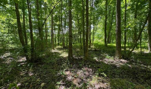 Photo #33 of SOLD property in 2910 Hills Neck Road, Emul, NC 1.9 acres