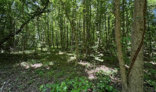 Photo #41 of SOLD property in 2910 Hills Neck Road, Emul, NC 1.9 acres
