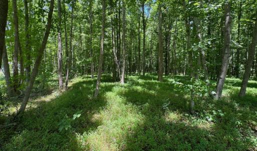 Photo #43 of SOLD property in 2910 Hills Neck Road, Emul, NC 1.9 acres