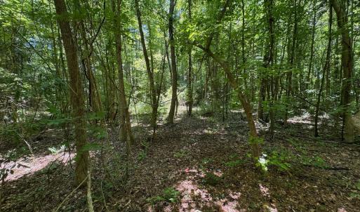 Photo #46 of SOLD property in 2910 Hills Neck Road, Emul, NC 1.9 acres