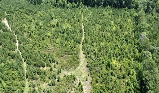 Photo #11 of SOLD property in Off Cortez Morrison Rd, Broadway, NC 29.3 acres