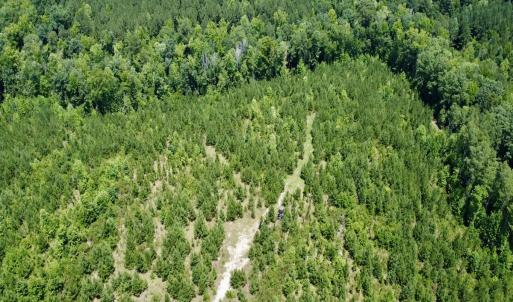 Photo #12 of SOLD property in Off Cortez Morrison Rd, Broadway, NC 29.3 acres