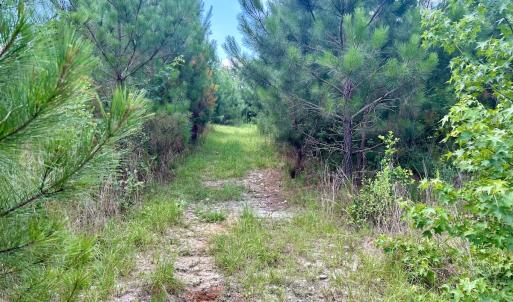 Photo #16 of SOLD property in Off Cortez Morrison Rd, Broadway, NC 29.3 acres