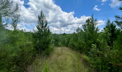Photo #17 of SOLD property in Off Cortez Morrison Rd, Broadway, NC 29.3 acres
