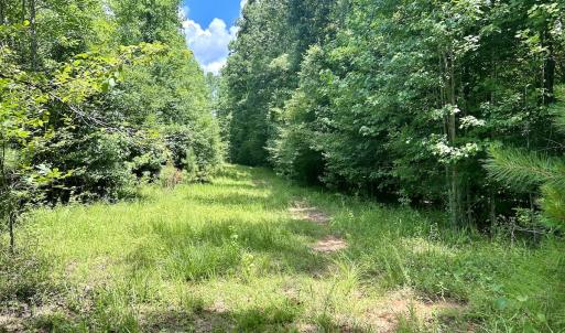 Photo #20 of SOLD property in Off Cortez Morrison Rd, Broadway, NC 29.3 acres