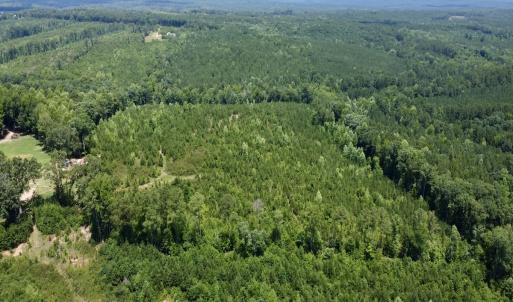 Photo #5 of SOLD property in Off Cortez Morrison Rd, Broadway, NC 29.3 acres