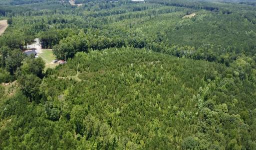 Photo #6 of SOLD property in Off Cortez Morrison Rd, Broadway, NC 29.3 acres