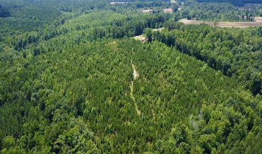 Photo #7 of SOLD property in Off Cortez Morrison Rd, Broadway, NC 29.3 acres