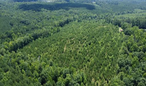 Photo #8 of SOLD property in Off Cortez Morrison Rd, Broadway, NC 29.3 acres