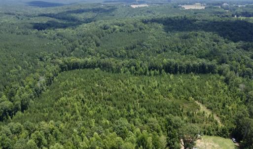 Photo #9 of SOLD property in Off Cortez Morrison Rd, Broadway, NC 29.3 acres