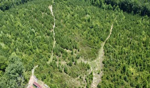 Photo #10 of SOLD property in Off Cortez Morrison Rd, Broadway, NC 29.3 acres