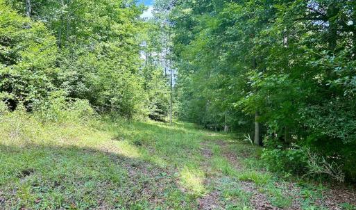 Photo #21 of SOLD property in Off Cortez Morrison Rd, Broadway, NC 29.3 acres