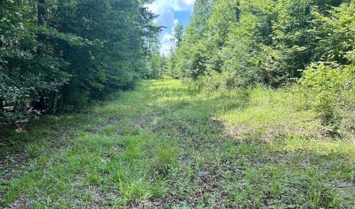 Photo #22 of SOLD property in Off Cortez Morrison Rd, Broadway, NC 29.3 acres