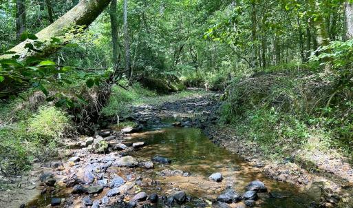 Photo #23 of SOLD property in Off Cortez Morrison Rd, Broadway, NC 29.3 acres
