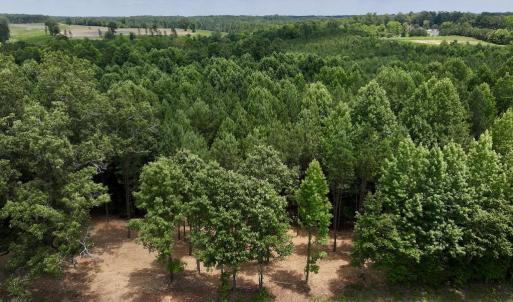 Photo #12 of SOLD property in 8 Peachtree Hills Road, Spring Hope, NC 11.0 acres