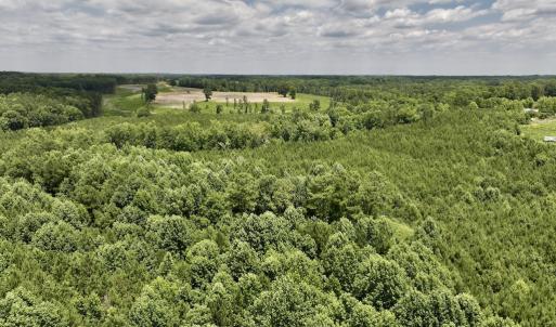 Photo #14 of SOLD property in 8 Peachtree Hills Road, Spring Hope, NC 11.0 acres