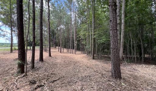 Photo #16 of SOLD property in 8 Peachtree Hills Road, Spring Hope, NC 11.0 acres