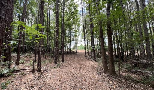 Photo #17 of SOLD property in 8 Peachtree Hills Road, Spring Hope, NC 11.0 acres