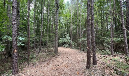 Photo #18 of SOLD property in 8 Peachtree Hills Road, Spring Hope, NC 11.0 acres