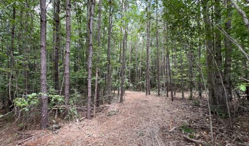 Photo #19 of SOLD property in 8 Peachtree Hills Road, Spring Hope, NC 11.0 acres
