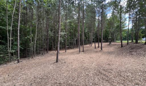 Photo #20 of SOLD property in 8 Peachtree Hills Road, Spring Hope, NC 11.0 acres