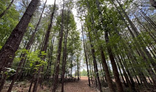 Photo #21 of SOLD property in 8 Peachtree Hills Road, Spring Hope, NC 11.0 acres