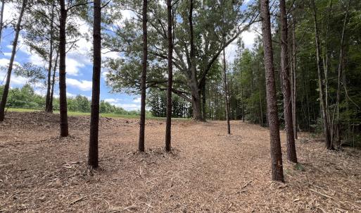 Photo #22 of SOLD property in 8 Peachtree Hills Road, Spring Hope, NC 11.0 acres