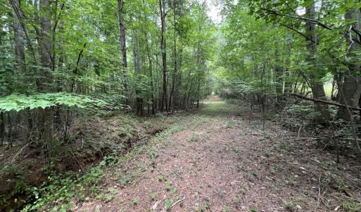 Photo #25 of SOLD property in 8 Peachtree Hills Road, Spring Hope, NC 11.0 acres
