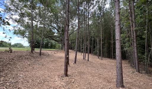 Photo #27 of SOLD property in 8 Peachtree Hills Road, Spring Hope, NC 11.0 acres